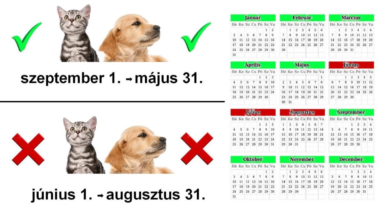 Vadaszles Vendeghaz Bukkszentmarton Zewnętrze zdjęcie